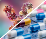 Pharmaceutical and Biopharmaceutical Industry